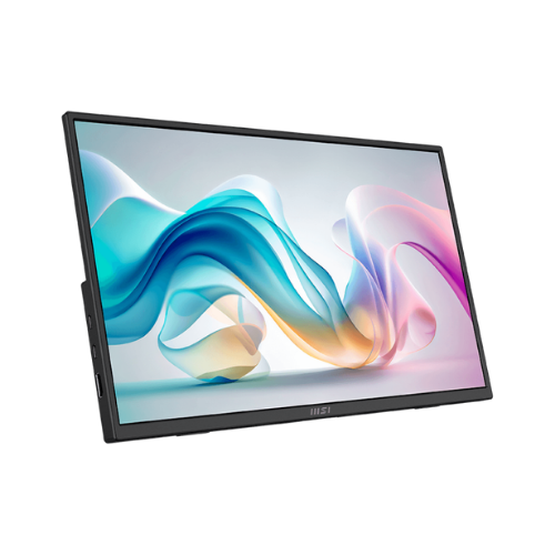 MSI Pro MP165 E6 Portable Ultra-Slim Buisness Monitor